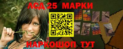 сатива Обь