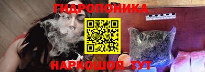 сатива Обь