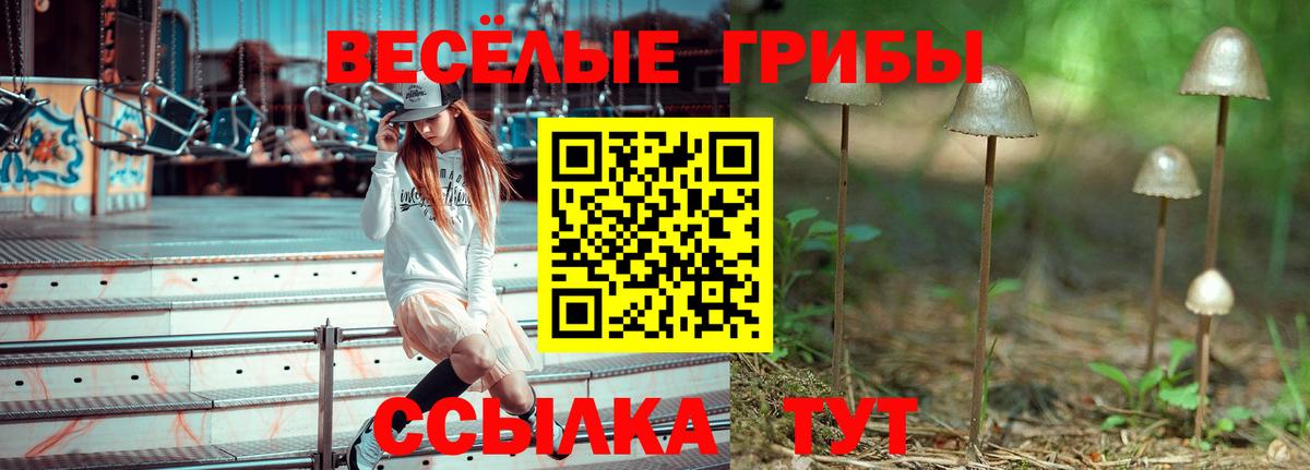 Вейп ТГК  Ртищево  Бошки Шишки  МЕФ кристаллы  ГАШ  Вход с VPN 