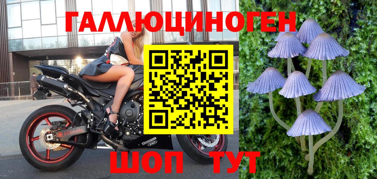 Ртищево  Галлюциногенные грибы мухоморы  Вход с VPN 